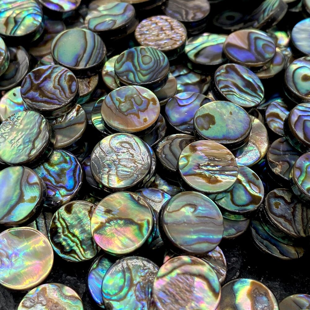 4670 ABCGEMS 33 Pcs AAA Abalone Paua Shell Beads from Coastal New Zealand
